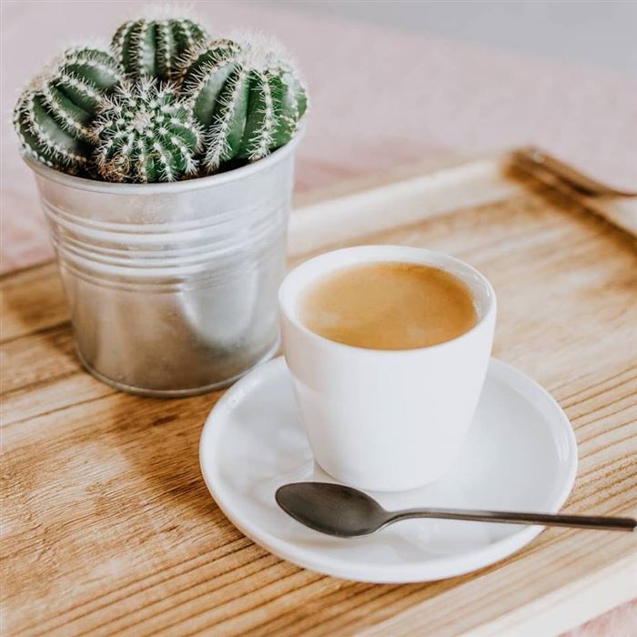 Tanier PASTA hlboký 27 cm OPTIMO white glazed