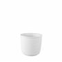 Šálka 180 ml DOUBLEWALL CUPS curly raw