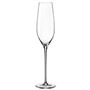 Poháre na sekt/prosecco 210 ml CELEBRATION 50 ks bal