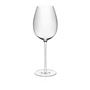 Kalich Wine 480 ml DIVERTO