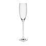 Pohár na sekt a prosecco 180 ml SELECT