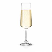 Pohár na sekt - flauta 16 cl TAPAS