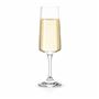 Pohár na sekt - flauta 16 cl TAPAS